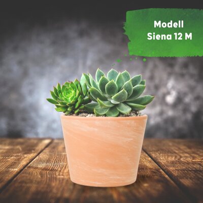 Siena 12 M Terrakotta