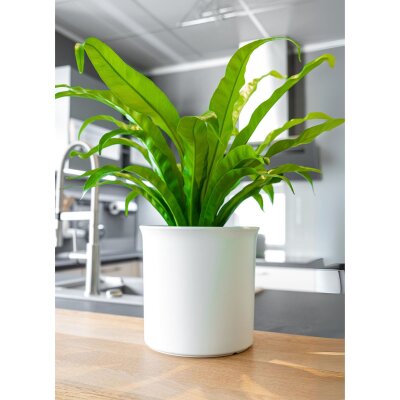 Atlas Blumentopf Kunststoff matt