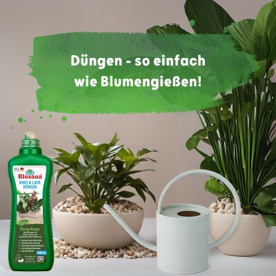 Blusana Fl&uuml;ssig D&uuml;nger Bims & Lava 1 l Flasche