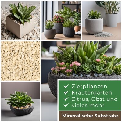 Blusana Fl&uuml;ssig D&uuml;nger Bims & Lava 1 l Flasche