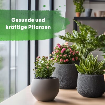 Blusana Fl&uuml;ssig D&uuml;nger Bims & Lava 1 l Flasche