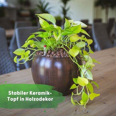 Bali Blumentopf Keramik Holzdekor