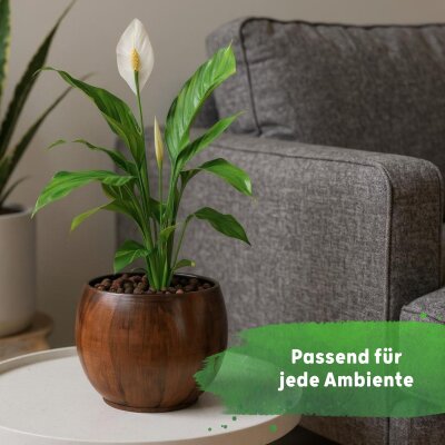 Bali Blumentopf Keramik Holzdekor