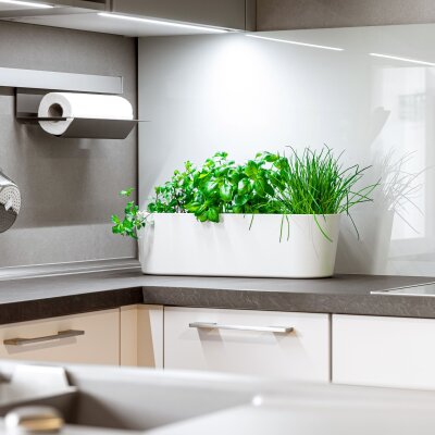 Flori Jardiniere Kunststoff matt genarbt