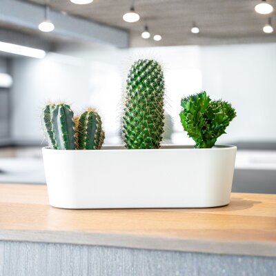 Flori Jardiniere Kunststoff matt genarbt