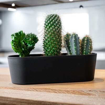 Flori Jardiniere Kunststoff matt genarbt