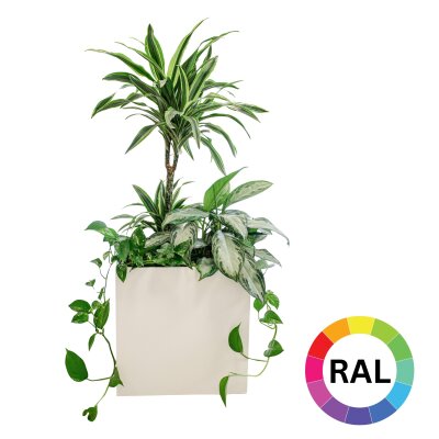 Elegance W&uuml;rfel 40 Hydro