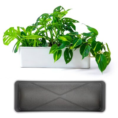 Corona Pflanzgef&auml;&szlig; Rechteck 50x18/12