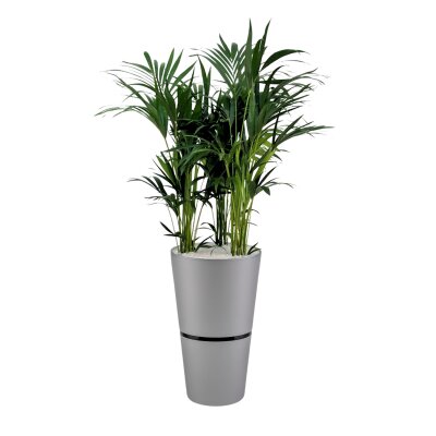 Flori Duo Scheibe rund