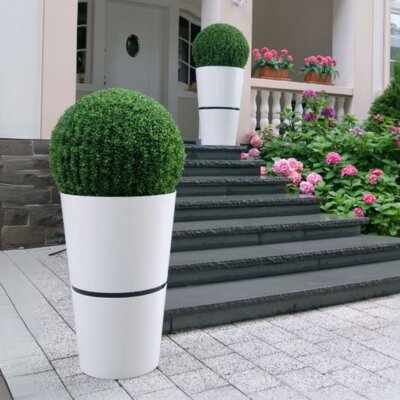 Flori Duo Scheibe rund