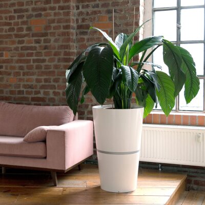 Flori Duo Scheibe rund