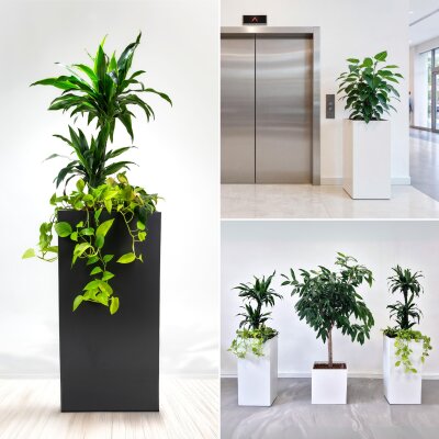 Elegance S&auml;ule quadratisch 40/75/6