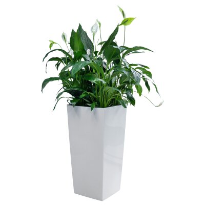 Elegance S&auml;ule quadratisch konisch 40U30/75