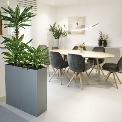 Elegance Raumteiler 100X25/75