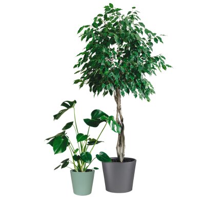 Vasa Blumentopf Keramik