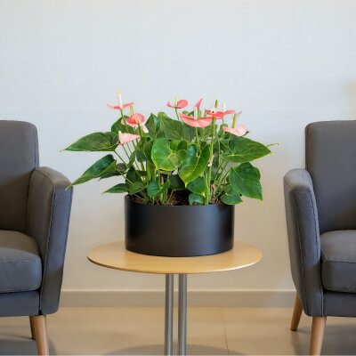 Elegance Tischgef&auml;&szlig; rund 37/14,5