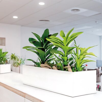 Elegance Sideboard rechteckig 80X40/25