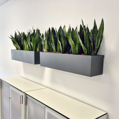 Elegance Wandgef&auml;&szlig; rechteckig 80X22/22