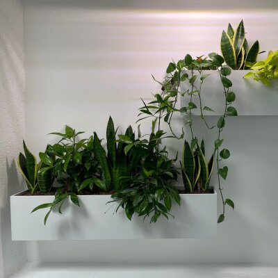 Elegance Wandgef&auml;&szlig; rechteckig 80X22/22