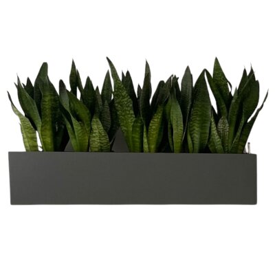 Elegance Wandgef&auml;&szlig; rechteckig 60X16/15