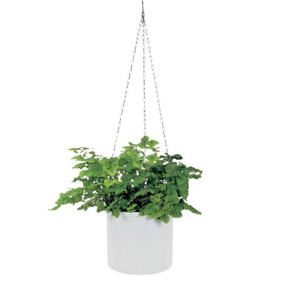 Corona Ampel Kunststoff gl&auml;nzend rund