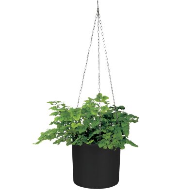 Corona Ampel Kunststoff gl&auml;nzend rund