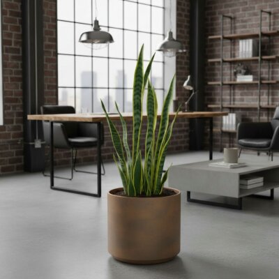 Bavaria Pflanzgef&auml;&szlig; rund 36, Glatt matt...