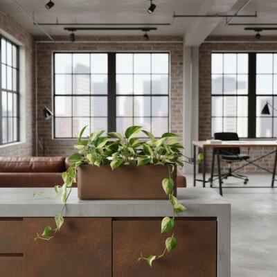 Sauerland Pflanzgef&auml;&szlig; rechteckig 70X35, Glatt...