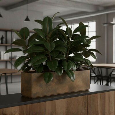 Sauerland Pflanzgef&auml;&szlig; rechteckig 80X20, Glatt...