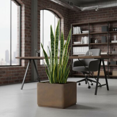 Sauerland Pflanzgef&auml;&szlig; quadratisch 40, Glatt...