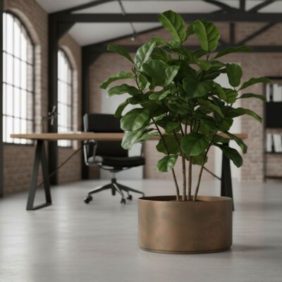 Sauerland Pflanzgef&auml;&szlig; rund 50, Glatt matt...