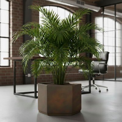 Sauerland Pflanzgef&auml;&szlig; sechseckig 40, Glatt...