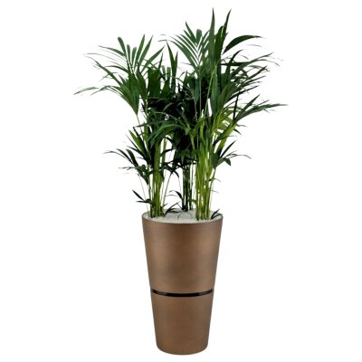 Flori Duo Pflanzgef&auml;&szlig; rund 42, Glatt matt Edelrost-Optik