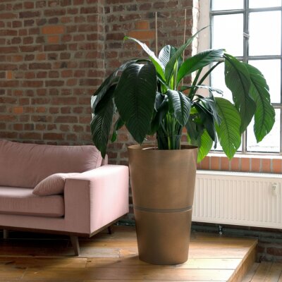 Flori Duo Pflanzgef&auml;&szlig; rund konisch 50, Glatt matt Edelrost-Optik