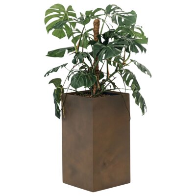 Elegance S&auml;ule quadratisch 40/75, Glatt matt...