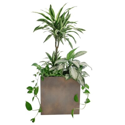 Elegance W&uuml;rfel 40, Glatt matt Edelrost-Optik