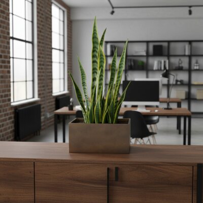 Elegance Sideboard quadratisch 40/25 Hydro, Glatt matt...