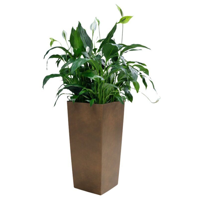 Elegance S&auml;ule quadratisch 40U30/75, Glatt matt Edelrost-Optik