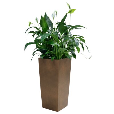 Elegance S&auml;ule quadratisch 40U30/75 Hydro, Glatt...