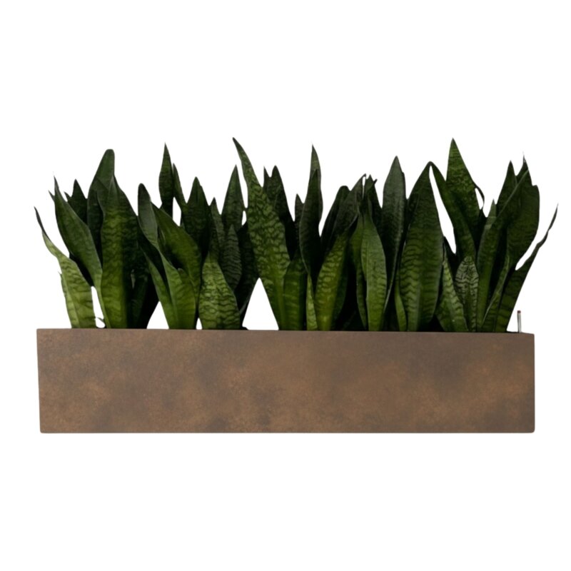 Elegance Wandgef&auml;&szlig; rechteckig 80X22/22 Hydro, Glatt matt Edelrost-Optik