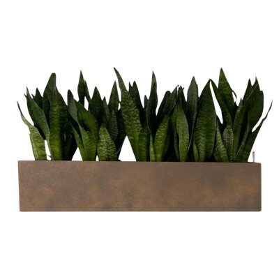 Elegance Wandgef&auml;&szlig; rechteckig 80X22/22 Hydro,...