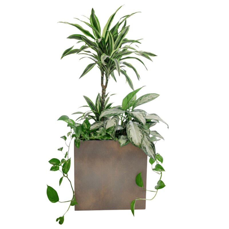 Elegance W&uuml;rfel 40 Hydro, Glatt matt Edelrost-Optik