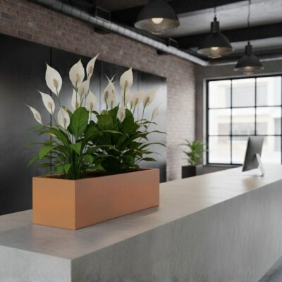 Elegance Sideboard rechteckig 100X40/25 Hydro, Glatt matt...