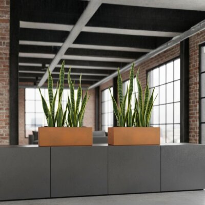 Elegance Sideboard rechteckig 80X40/25 Hydro, Glatt matt...