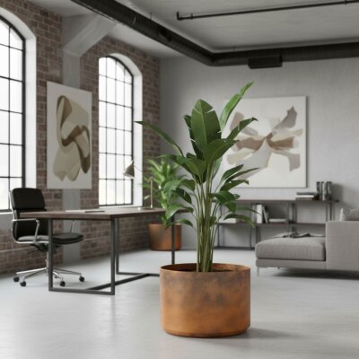 Bavaria Pflanzgef&auml;&szlig; rund 50, Glatt matt...