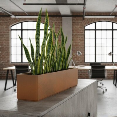 Sauerland Pflanzgef&auml;&szlig; rechteckig 100X22, Glatt...