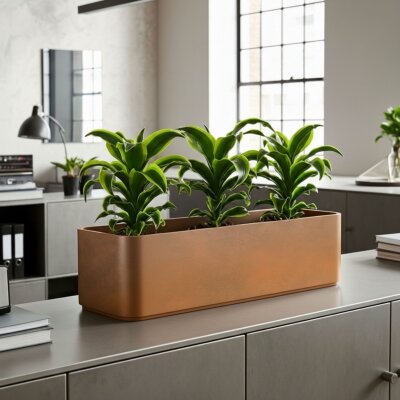 Sauerland Pflanzgef&auml;&szlig; rechteckig 60X20, Glatt...