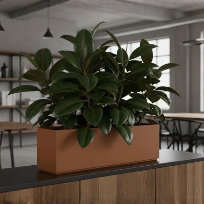 Sauerland Pflanzgef&auml;&szlig; rechteckig 80X20, Glatt...