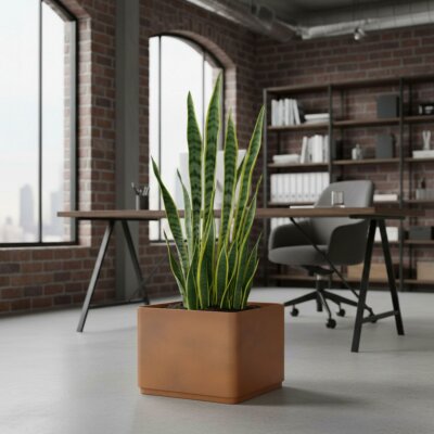 Sauerland Pflanzgef&auml;&szlig; quadratisch 40, Glatt...