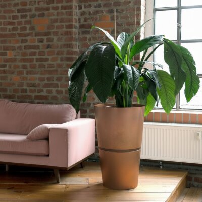 Flori Duo Pflanzgef&auml;&szlig; rund konisch 50, Glatt matt Cortenstahl-Optik